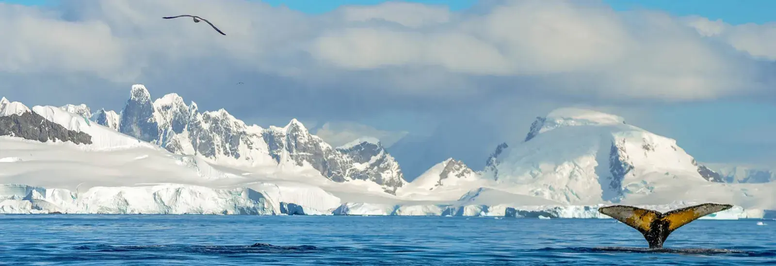 Antarctic Wonders: Roundtrip From Ushuaia | SH Diana Antarctic Wonders: Roundtrip From Ushuaia | SH Diana
