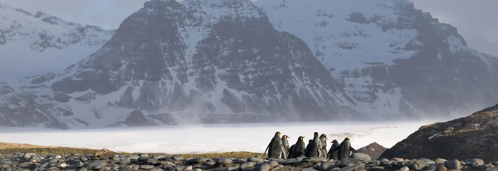 Classic South Georgia 18-Day | MV Ushuaia