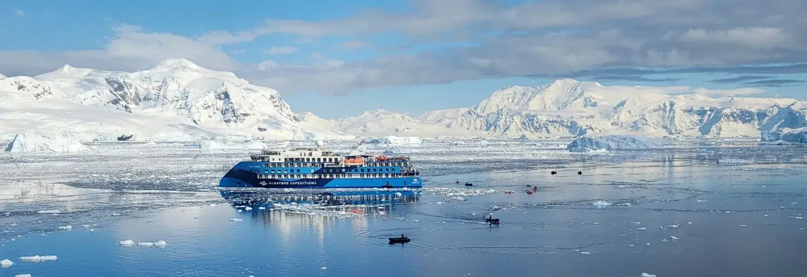 Ocean Albatros in Antarctica