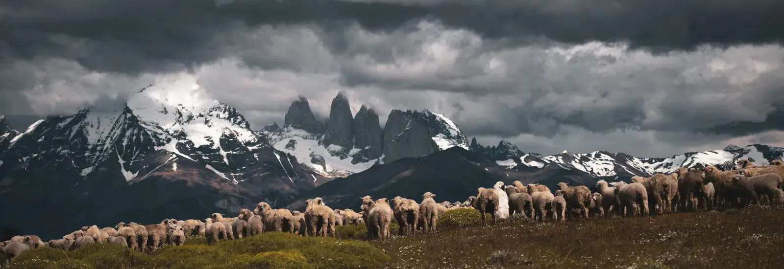 Estancia Cerro Guido Torres Del Paine Extension Estancia Cerro Guido Torres Del Paine Extension