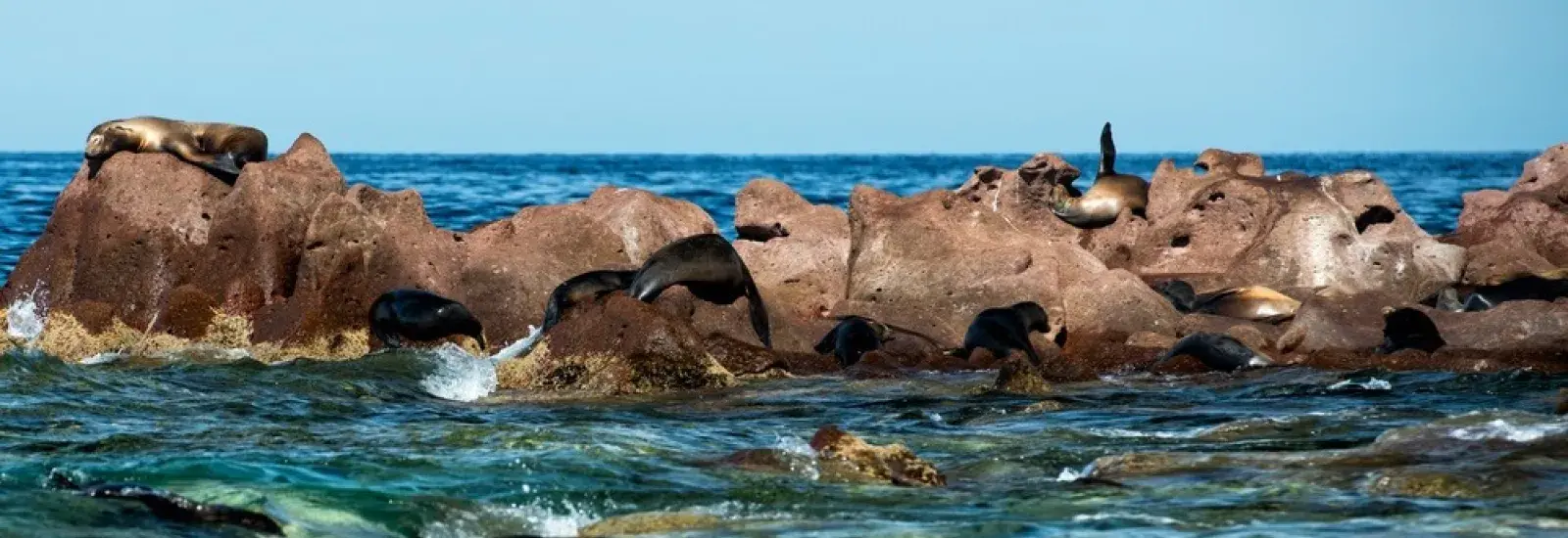 Central and Northern Islands Cruise | Infinity