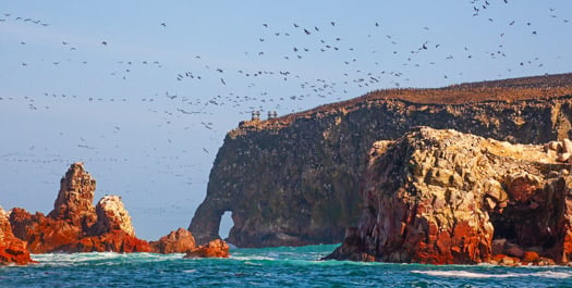 Paracas