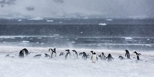 Antarctic Circle - Days 6 to 9