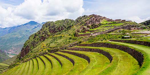 Half Day Tour of Pisac Before Returning To Cusco