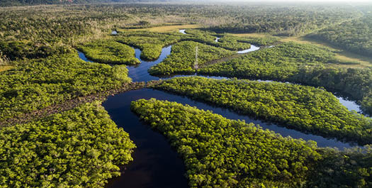 Embarkation in Manaus