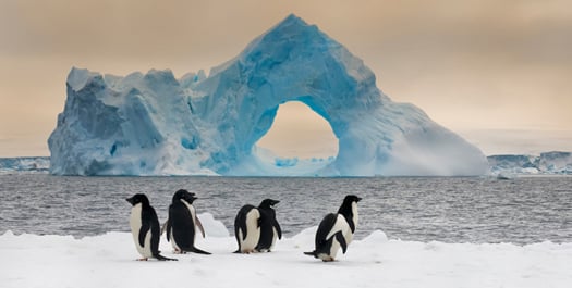North Antarctic Peninsula