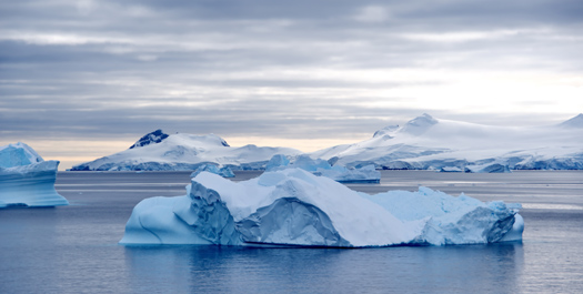 Antarctic Peninsula - Day 4 to 8