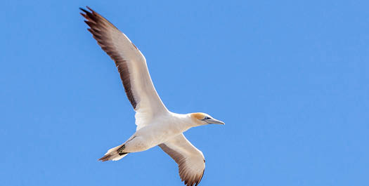 At Sea - Day 15 to 17