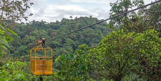 Full Day Private Mindo Valley Excursion Full Day Private Mindo Valley Excursion