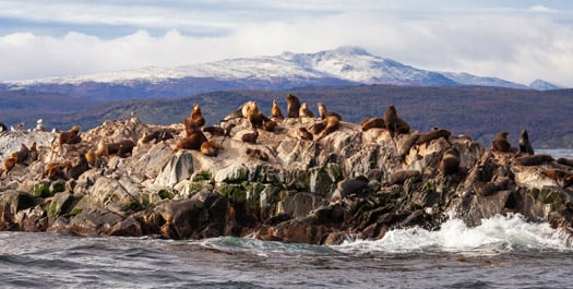 Disembarkation in Ushuaia