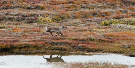 Kangerlussuaq and Fly to Paris