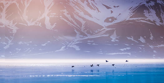 Exploring Svalbard - Day 2 to 11