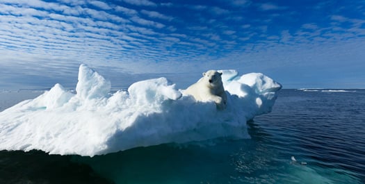 Svalbard - Days 7 to 10