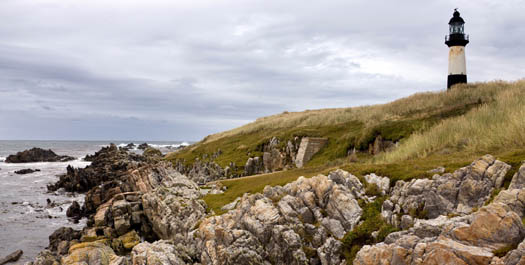 Stanley Island, Falkland Islands