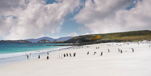 The Falklands - Day 19 & 20