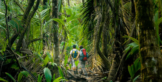 Corcovado National Park