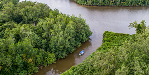 Drake Bay - Sierpe Wetlands