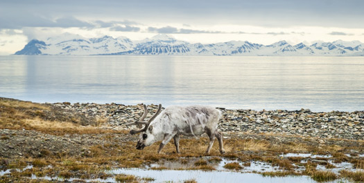 Disembarkation in Longyearbyen