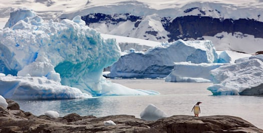 Antarctic Peninsula - Day 16 to 19