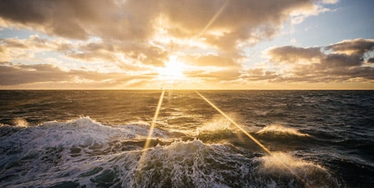 At Sea - Day 14 & 15