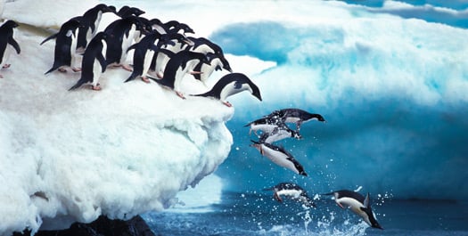 Ross Sea - Days 18 to 24