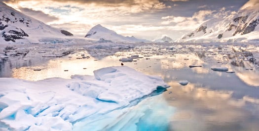 Antarctic Peninsula - Day 11 to 20