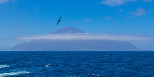 Tristan da Cunha - Day 6 & 7 Tristan da Cunha - Day 6 & 7