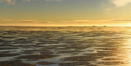 Beaufort Sea to Lancaster Sound - Day 12 to 25 Beaufort Sea to Lancaster Sound - Day 12 to 25