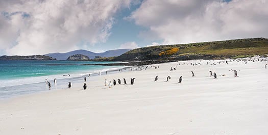 Western Falkland Islands