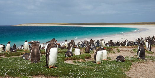 Eastern Falkland Islands
