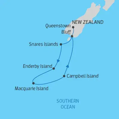 King%20Penguin%20Banner.jpg) 