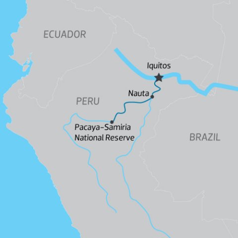 Delfin%20III%20Banner_0) 