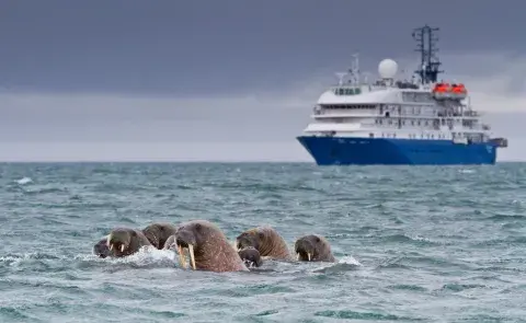 What (and How) to Pack for Your Arctic Cruise What (and How) to Pack for Your Arctic Cruise