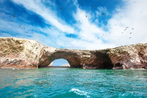 Things to do in the Ballestas Islands of Peru
