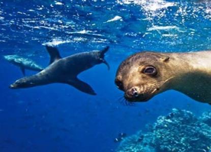 Galapagos Islands cruise  