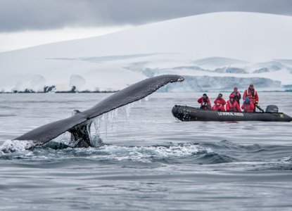  Ponant_MDB_Antarctica 