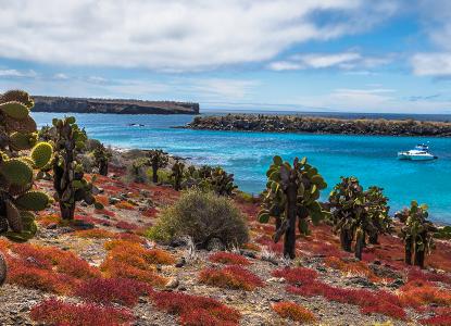 South Plaza Galapagos) 
