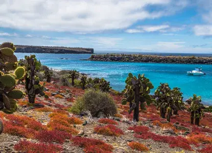 South Plaza Galapagos) 