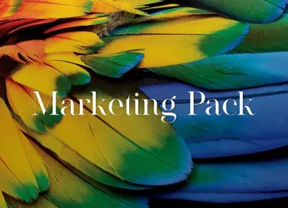  inca_MDB_marketingpack.jpg 