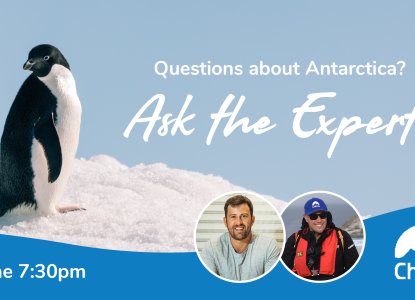  ask the experts 