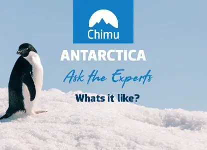  ask the experts 