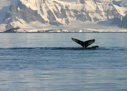 Describing Antarctica