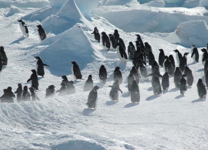 Geography of East and West Antarctica