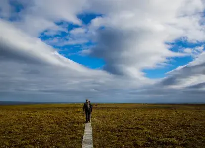 10 Must Visit Sub-Antarctic Islands