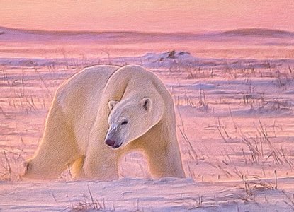 Arctic Animals – Meet the Wildlife of the North Arctic Animals – Meet the Wildlife of the North