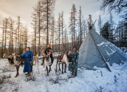 10 Fascinating Things You (Probably) Don’t Know About the Arctic