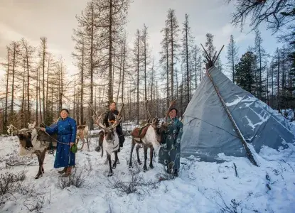 10 Fascinating Things You (Probably) Don’t Know About the Arctic