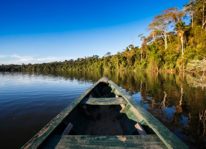 Things To Do in Peru’s Amazon Rainforest – All You Need to Know
