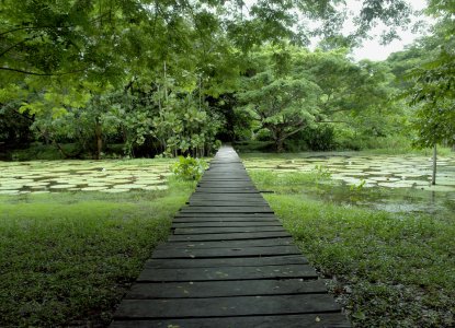 Packing Guide for the Amazon