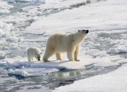 Best Things To Do in South and Central America in September 